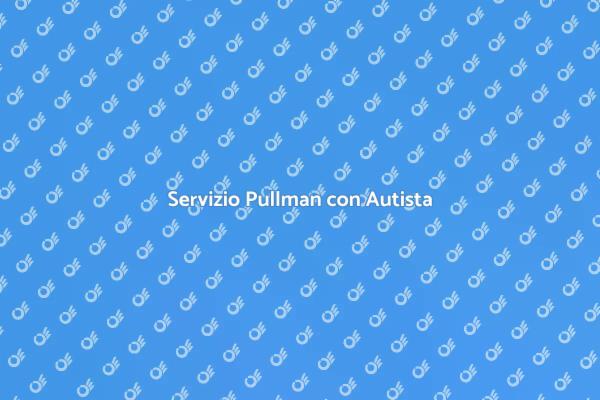 Pullman con Autista per Viaggi