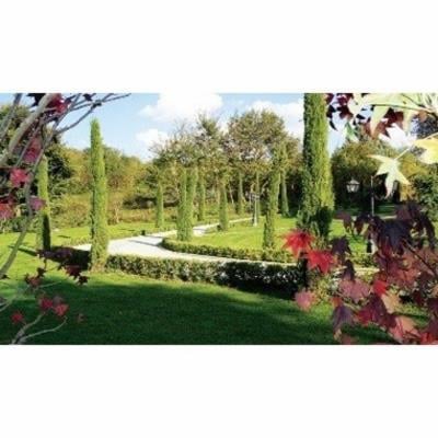 Il Giardino  - Foto 6