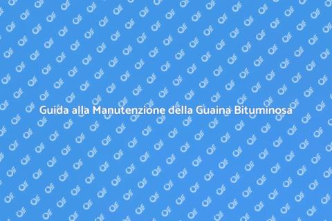 Manutenzione Tetto in Guaina Bituminosa