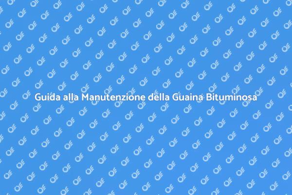 Manutenzione Efficace del Tetto in Guaina