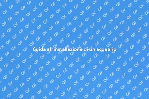 Installazione acquario: guida pratica