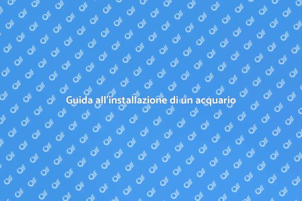Come installare un acquario perfetto