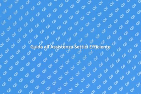 Assistenza Personalizzata Sistema Settico