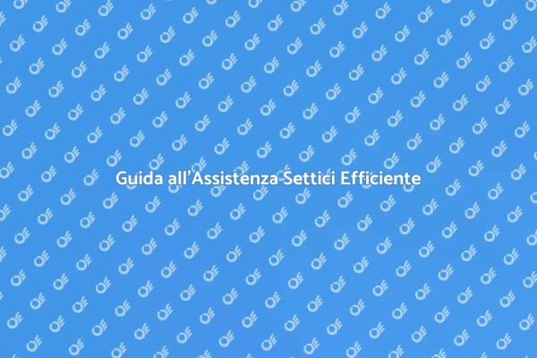 Manutenzione Efficiente per Sistemi Settici