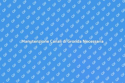 Controllo Canali di Gronda Essenziale
