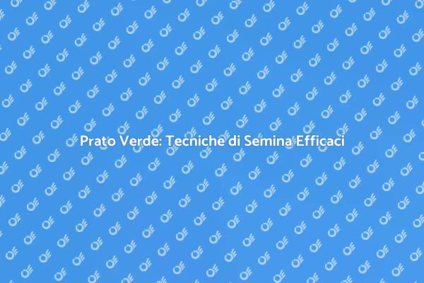 Guida alla Semina del Prato Perfetto