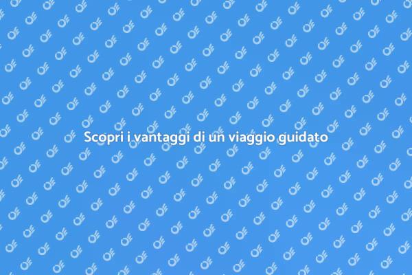 Viaggio con guida: un'esperienza unica
