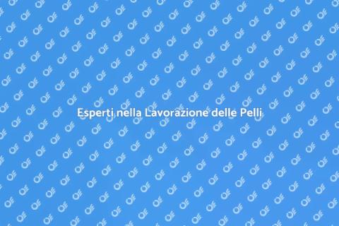 Consulenza Lavorazione Pelli di Qualità