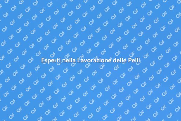 Lavorazione Pelli: Consulenza Personalizzata