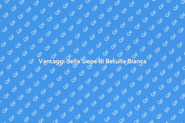 Siepe di Betulla Bianca: Eleganza Verde