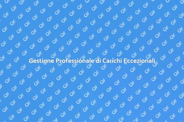 L'Arte di Trasportare Carichi Speciali