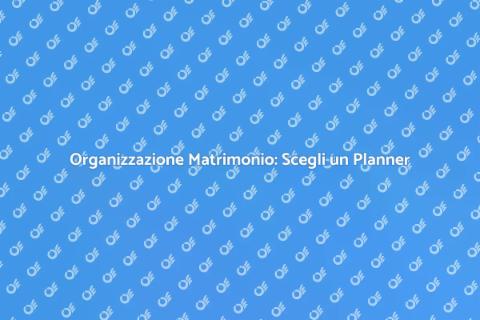 Matrimonio Tematico: Assistenza Ideale