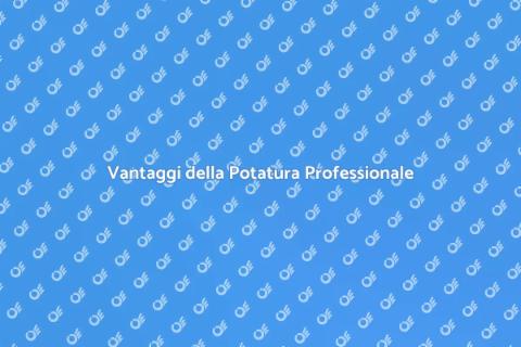 Potatura Professionale per il Giardino
