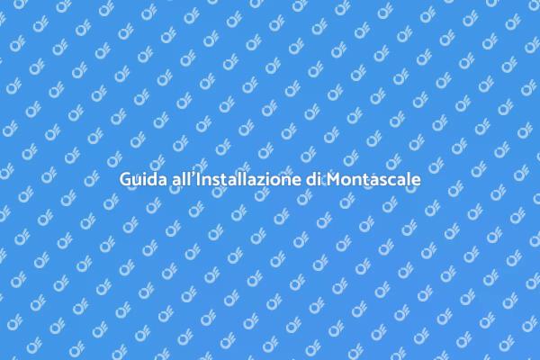 Installazione Facile di Montascale Curve
