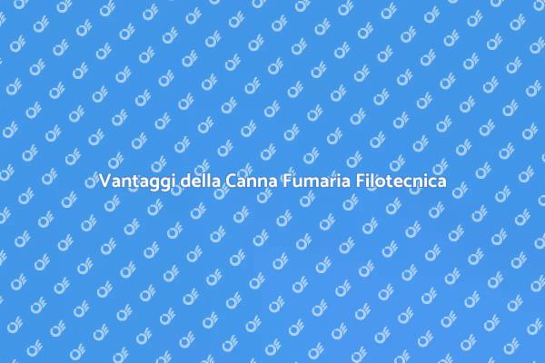 Canna Fumaria: Sicurezza e Efficienza
