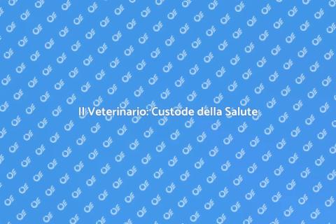 Veterinario: Il Tuo Amico Fido in Salute