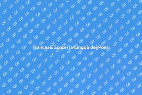 Imparare il Francese: Guida Pratica