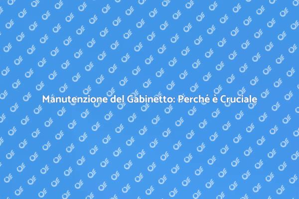 Manutenzione Gabinetto: Igiene e Comfort