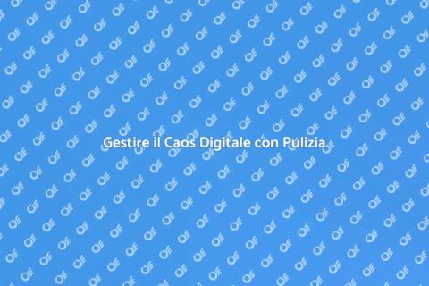 Pulizia Professionale di File e Archivi