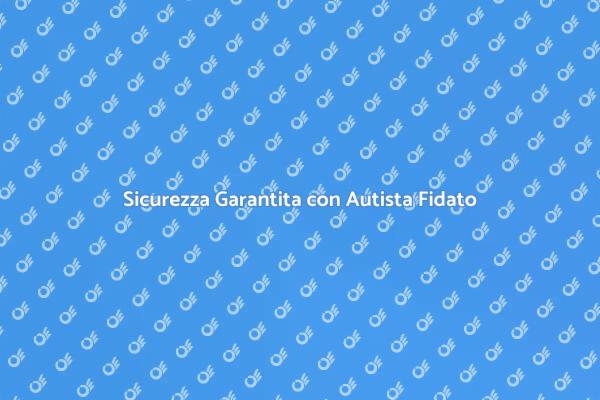 Proteggi la Tua Sicurezza con un Autista