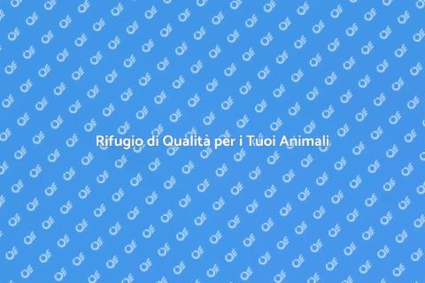 Pensione per Animali: Benessere Assicurato