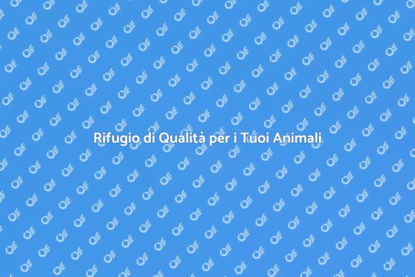 Pensione per Animali: Comfort e Cura