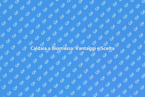 Caldaia a Biomassa: Riscaldamento Eco-Friendly