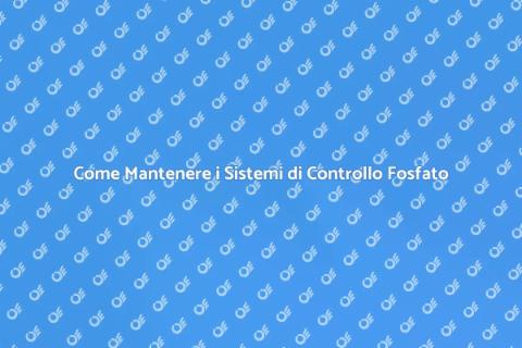 Manutenzione Sistemi di Controllo Fosfato