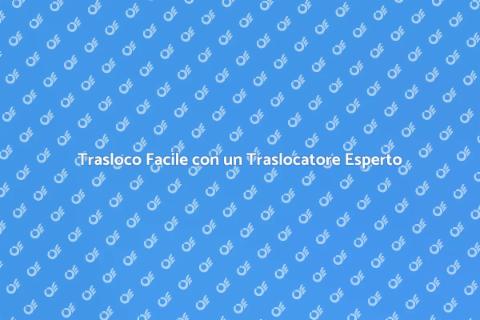 Traslocatore per Trasportare Arredamento