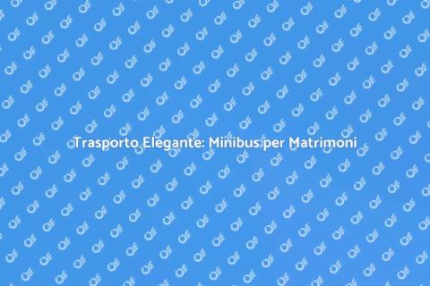 Noleggio Minibus per Matrimoni