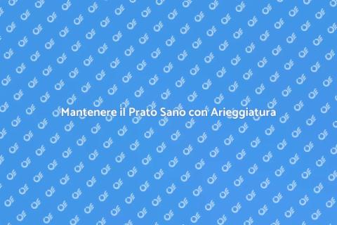 Arieggiare il Prato: Guida Completa