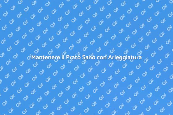 Arieggiare il Prato: Tecniche Efficaci
