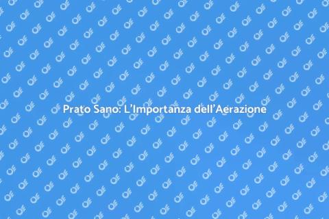 Aerare il Prato per un Giardino Sano