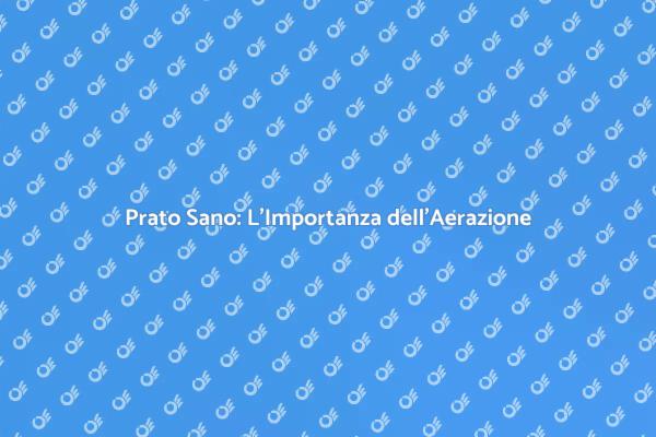 Perché Aerare il Tuo Prato Oggi