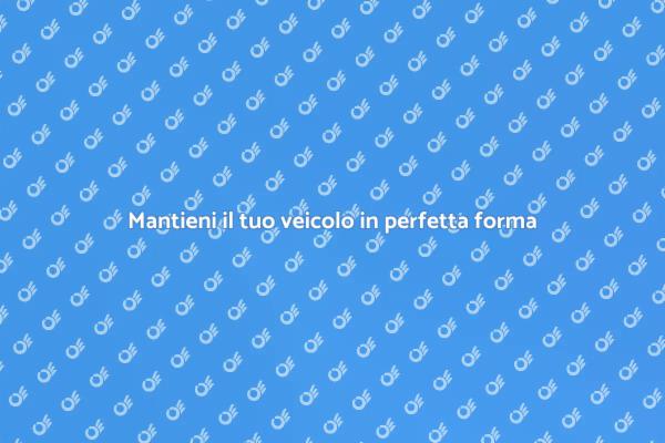 Proteggi il tuo investimento automobilistico