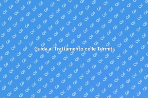 Trattamento Termiti: Proteggi la Casa