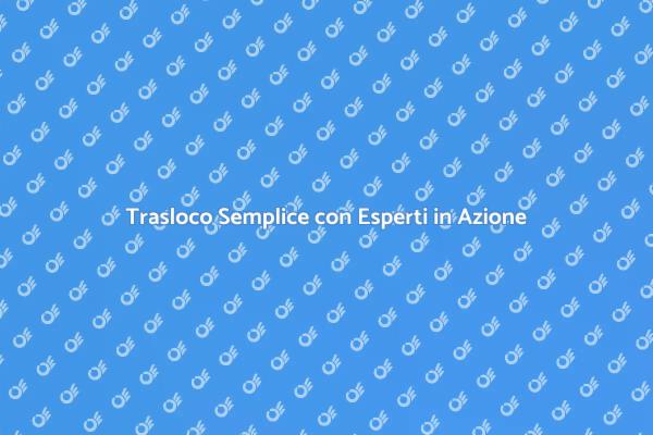 I Vantaggi di Affidarsi a Professionisti