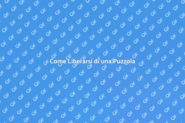 Rimuovere Puzzole: Soluzioni Efficaci