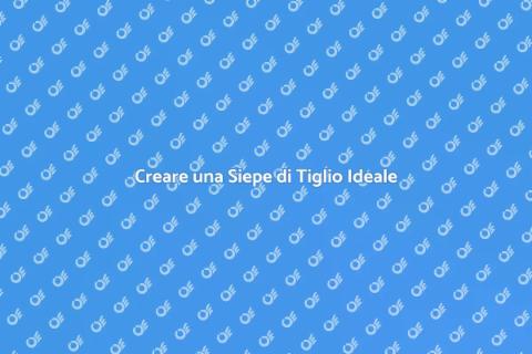 Progettare Siepe di Tiglio Perfetta