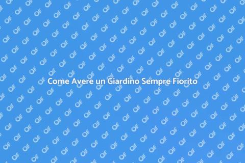 Giardino Fiorito Tutto l'Anno