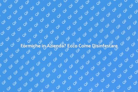 Disinfestazione Formiche in Azienda