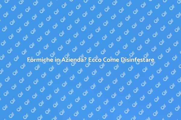 Combatti le Formiche nella Tua Azienda