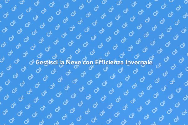 Sgombero Neve: Soluzioni Efficaci per Inverno