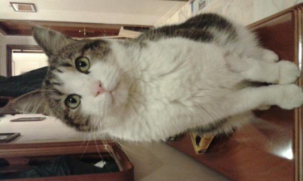 Sara  - Foto 2