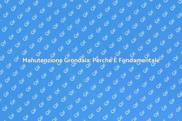 Importanza della Manutenzione della Grondaia