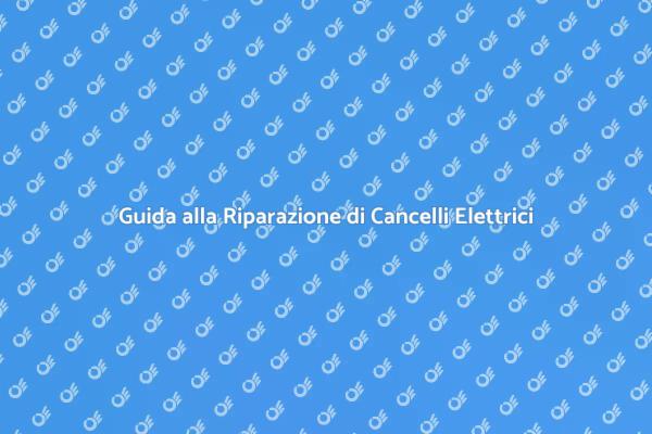 Soluzioni per Cancelli Elettrici Fuori Uso