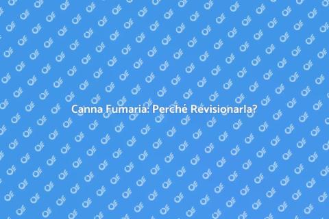 Revisione Canna Fumaria: Vantaggi