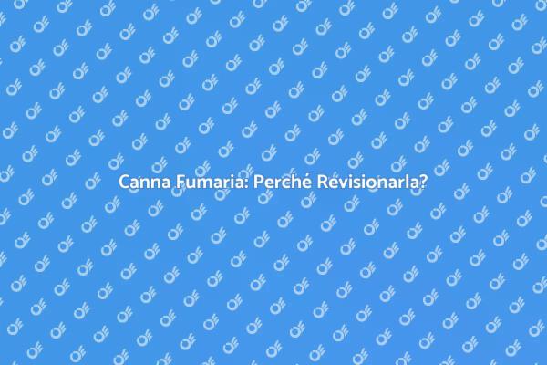 Sicurezza e Vantaggi della Revisione