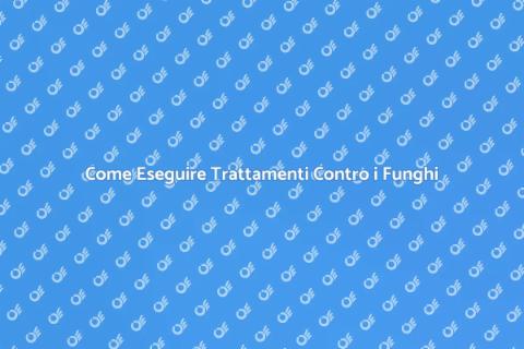 Trattamento Funghi in Casa: Guida