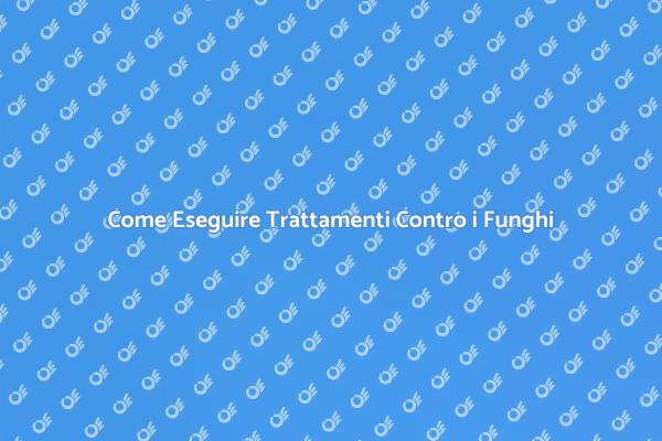 Liberati dai Funghi con i Nostri Consigli